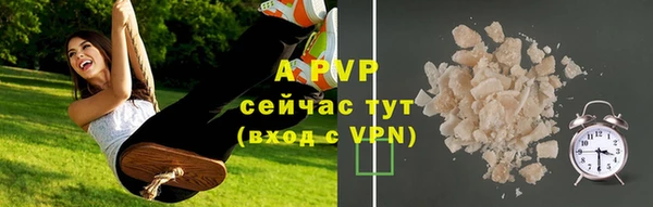 хмурый Зеленокумск