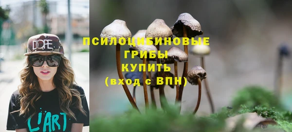 хмурый Зеленокумск