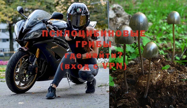 бошки Зеленодольск