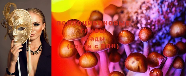 бошки Зеленодольск