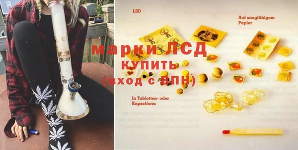 хмурый Зеленокумск