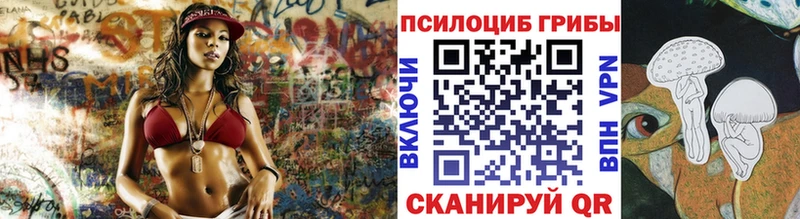 Купить где  Арсеньев  Псилоцибиновые грибы Psilocybine cubensis 